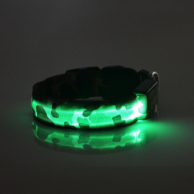 luminous dog collarPawtastic pets