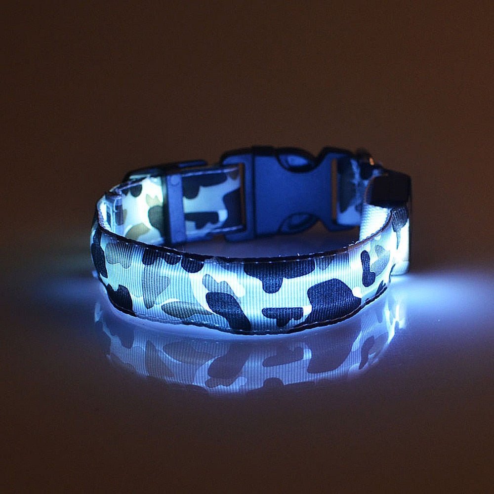 luminous dog collarPawtastic pets