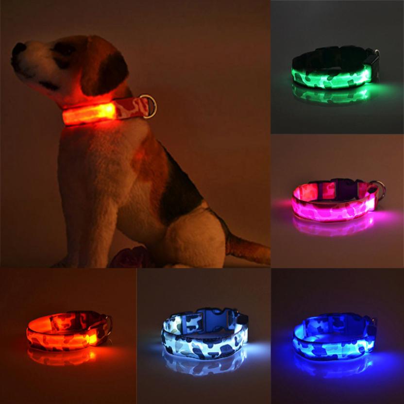 luminous dog collarPawtastic pets